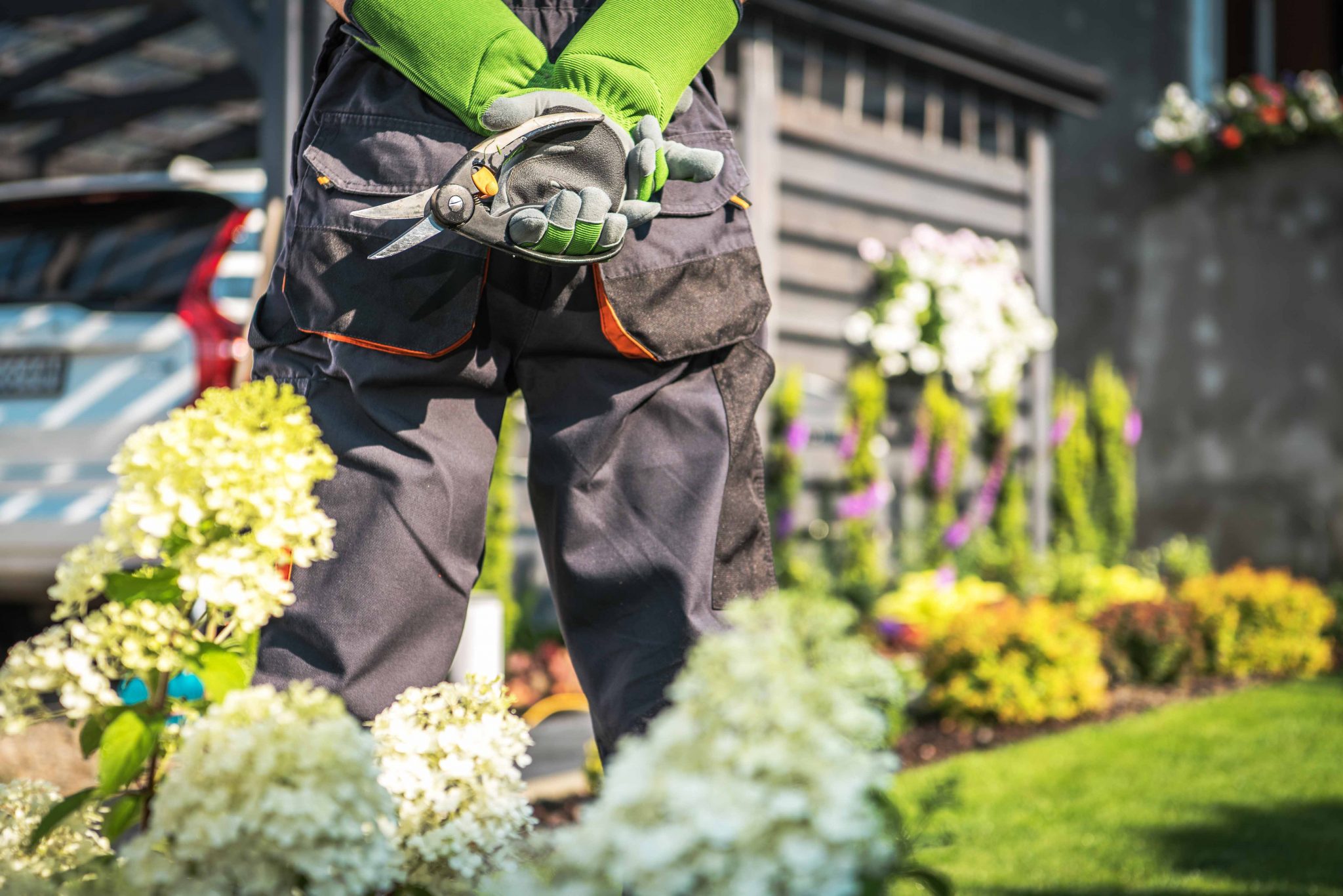 Gartenarbeiten Plus Gebaeudereinigung
